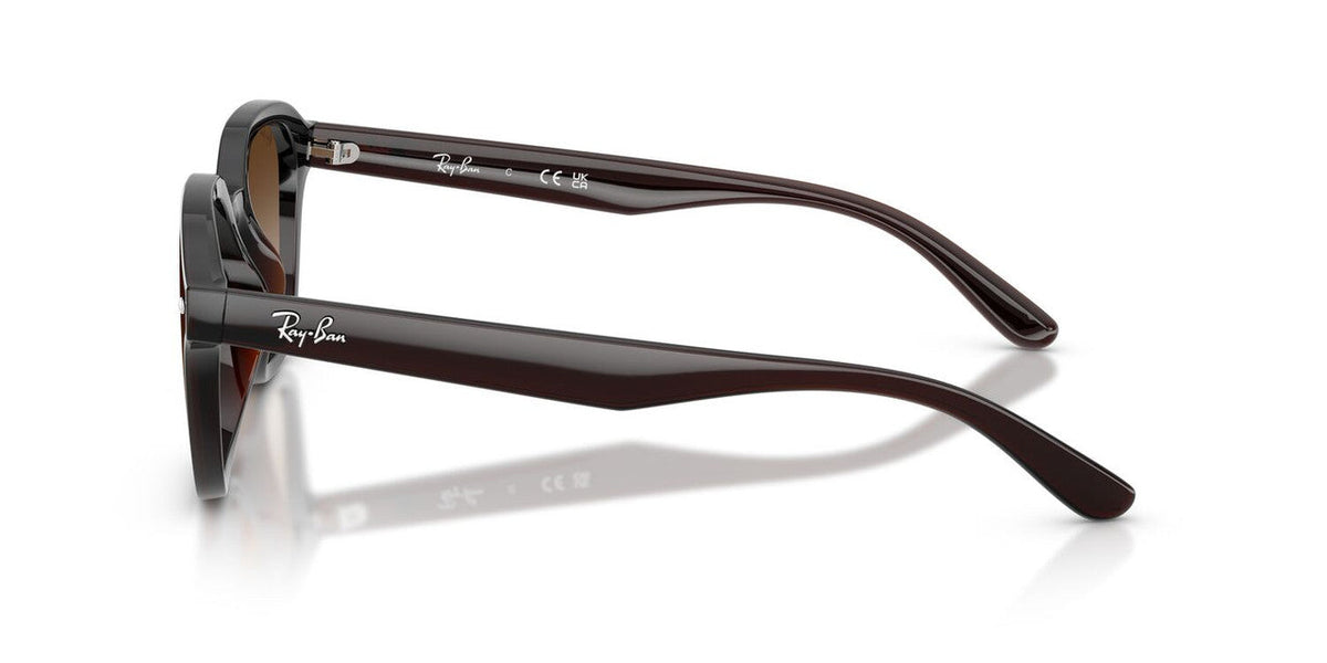 Gafas De Sol Ray-Ban RB4458D Café/Café