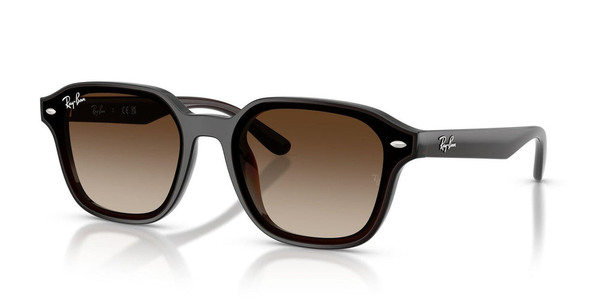 Gafas De Sol Ray-Ban RB4458D Café/Café