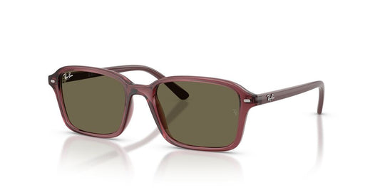 Gafas De Sol Ray-Ban RJ9131S Café/Violeta