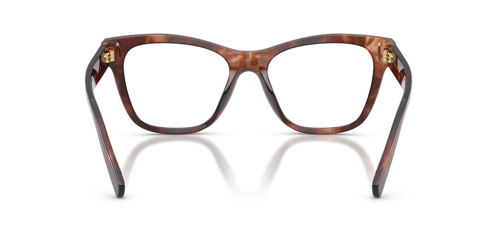 Armazón Dolce & Gabbana DG3430 Havana