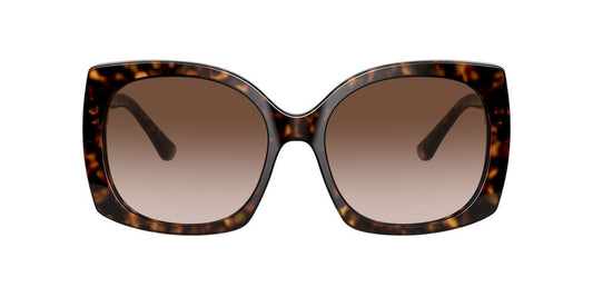 Gafas De Sol Dolce & Gabbana DG4385 Café/Havana