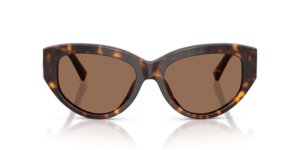 Gafas De Sol Dolce & Gabbana DG4514 Café/Havana