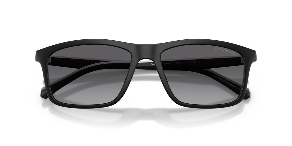 Gafas De Sol Emporio Armani EA4257U Gris/Negro