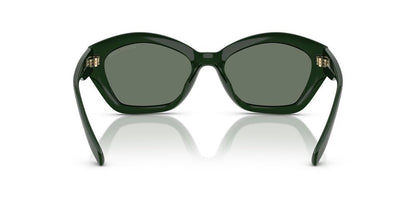 Gafas De Sol Michael Kors MK2209U Verde/Verde