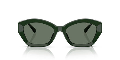Gafas De Sol Michael Kors MK2209U Verde/Verde