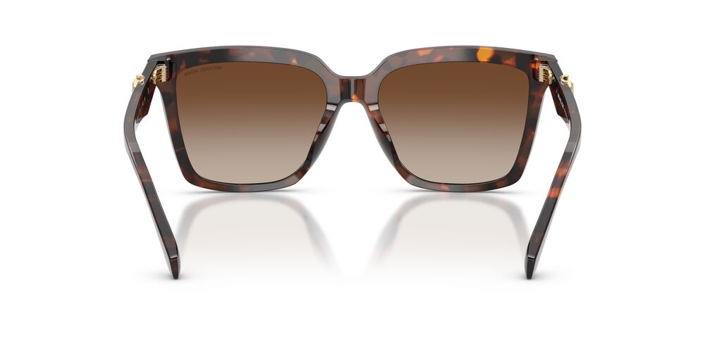 Gafas De Sol Michael Kors MK2256U Café/Café