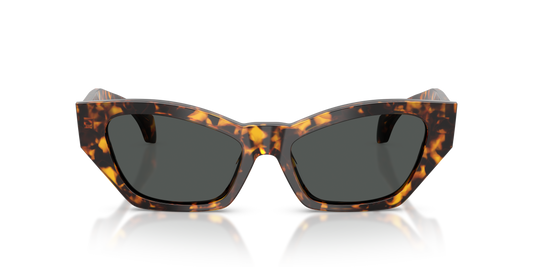 Gafas De Sol Versace VE4488U Gris/Havana