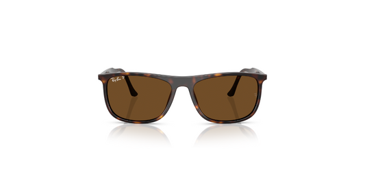 Gafas De Sol Ray-Ban RB2216 Marron/Havana