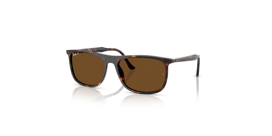 Gafas De Sol Ray-Ban RB2216 Marron/Havana