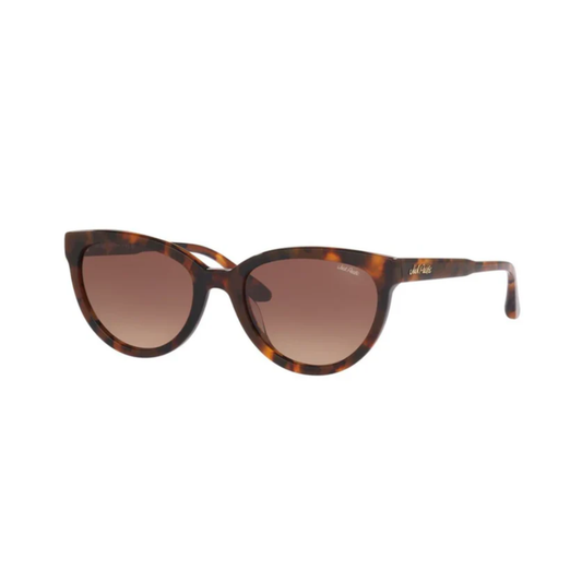 Gafas De Sol Jack Pacific JK6006U Café