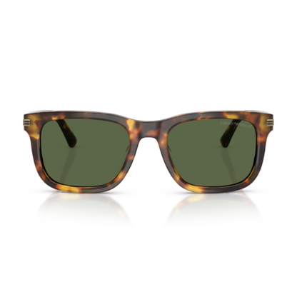 Gafas De Sol Emporio Armani EA4282U Shiny Havana Brown Dark Green Verde