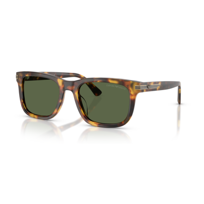 Gafas De Sol Emporio Armani EA4282U Shiny Havana Brown Dark Green Verde