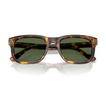 Gafas De Sol Emporio Armani EA4282U Shiny Havana Brown Dark Green Verde