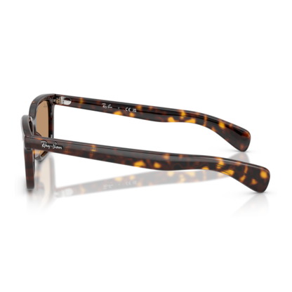Gafas De Sol Ray-Ban RB2234 Brunel Havana Brown Café