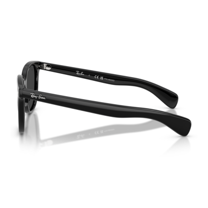 Gafas De Sol Ray-Ban RB2235 Brunel Ii Black Polar Black Negro