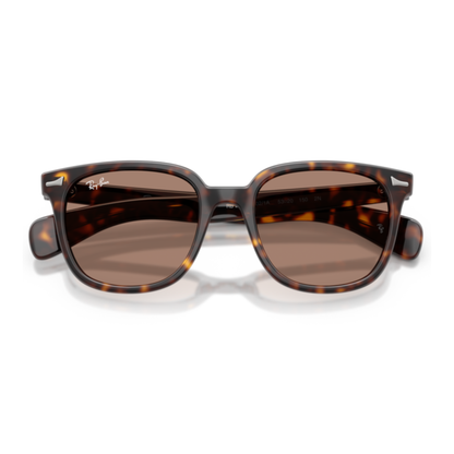 Gafas De Sol Ray-Ban RB2235 Brunel Ii Havana Light Violet Violeta