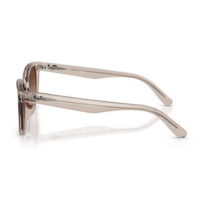 Gafas De Sol Ray-Ban RB2243D Transparent Light Brown Light Brown Gradient Dark Brown Café