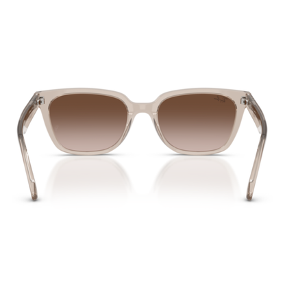 Gafas De Sol Ray-Ban RB2243D Transparent Light Brown Light Brown Gradient Dark Brown Café