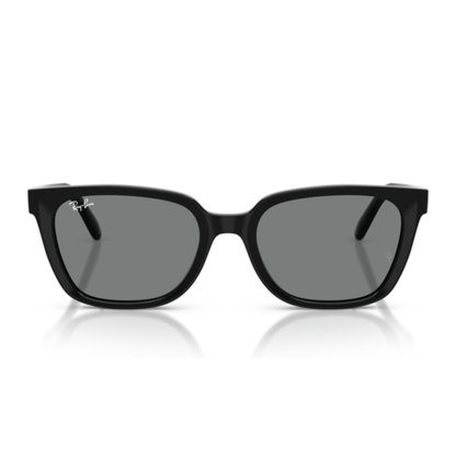 Gafas De Sol Ray-Ban RB2243D Black Dark Grey Gris