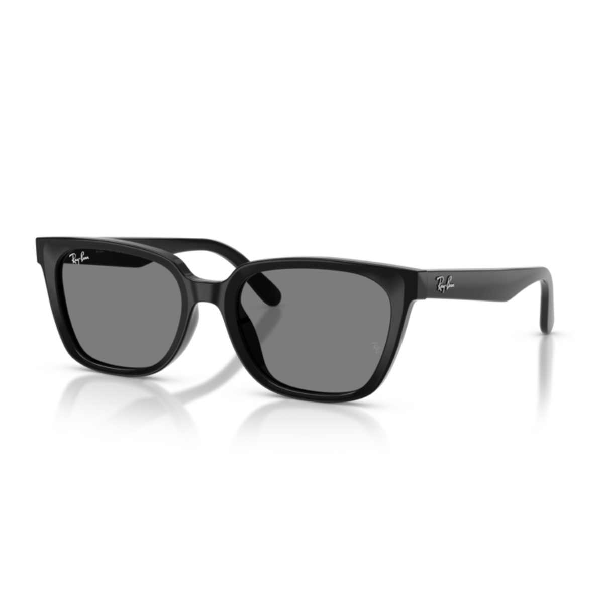 Gafas De Sol Ray-Ban RB2243D Black Dark Grey Gris
