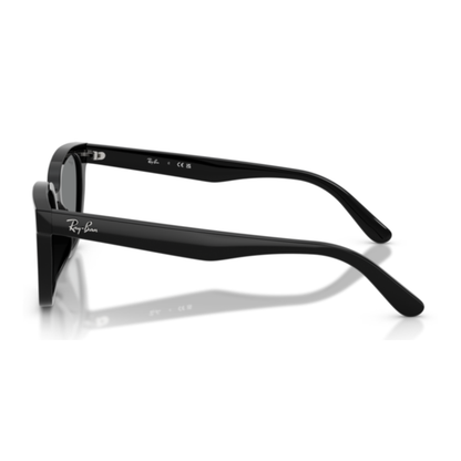 Gafas De Sol Ray-Ban RB2243D Black Dark Grey Gris