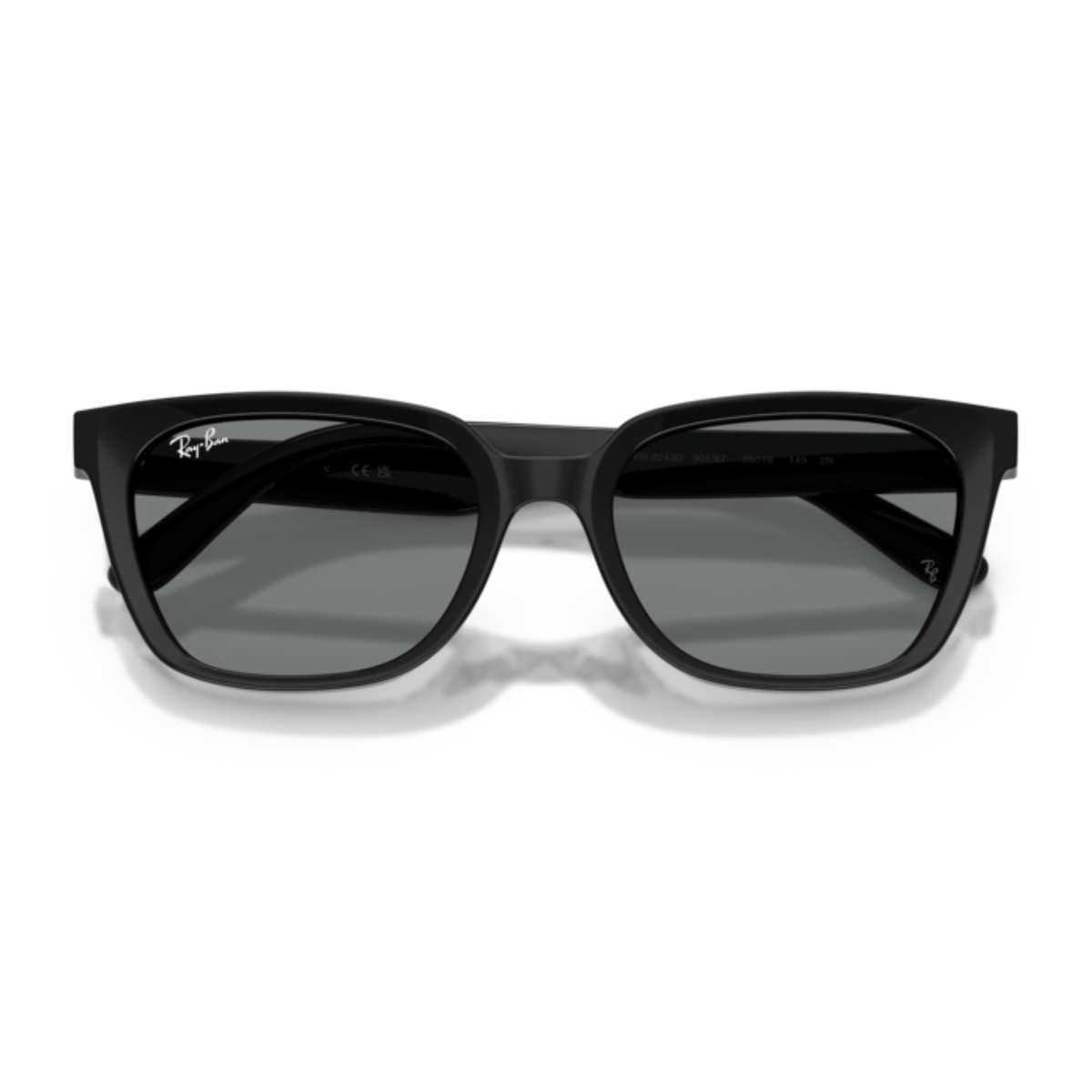 Gafas De Sol Ray-Ban RB2243D Black Dark Grey Gris