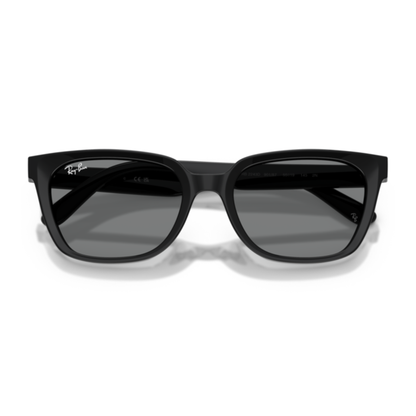 Gafas De Sol Ray-Ban RB2243D Black Dark Grey Gris