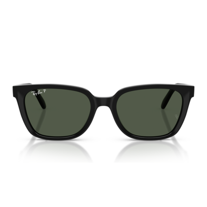 Gafas De Sol Ray-Ban RB2243D Black Polar Dark Green Verde
