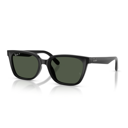 Gafas De Sol Ray-Ban RB2243D Black Polar Dark Green Verde