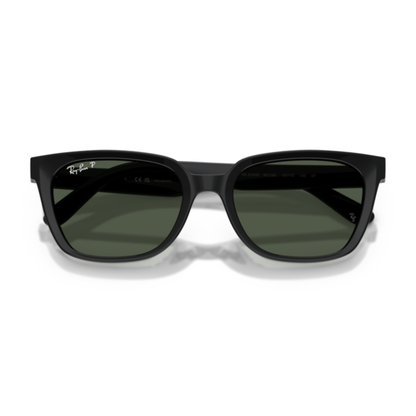 Gafas De Sol Ray-Ban RB2243D Black Polar Dark Green Verde