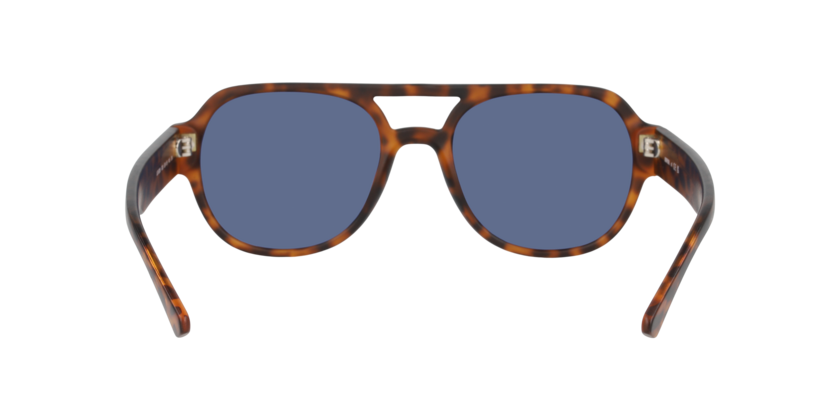 Gafas De Sol Unofficial UO6206 Azul/Havana