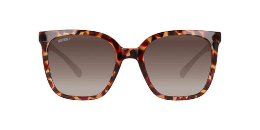 Gafas De Sol Unofficial UO6208B Café/Havana