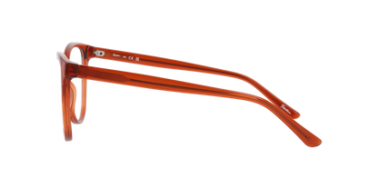 Armazón Seen NE3081 Naranja