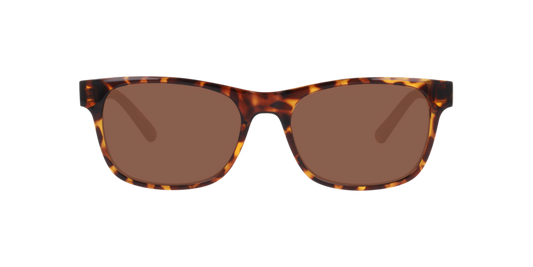 Gafas De Sol Seen NE6078 Café/Havana