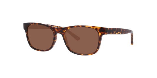 Gafas De Sol Seen NE6078 Café/Havana