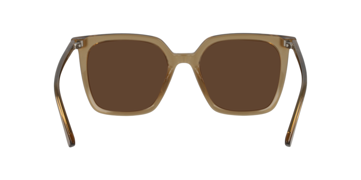 Gafas De Sol Seen NE6076 Café/Café