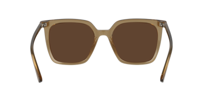 Gafas De Sol Seen NE6076 Café/Café