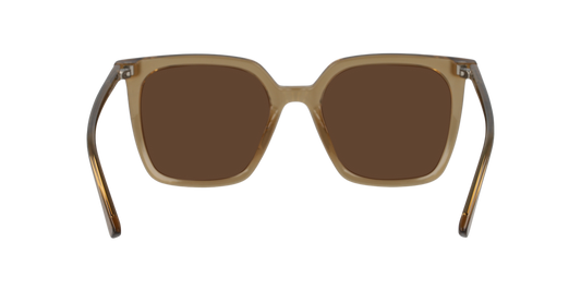 Gafas De Sol Seen NE6076 Café/Café