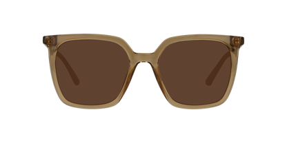 Gafas De Sol Seen NE6076 Café/Café