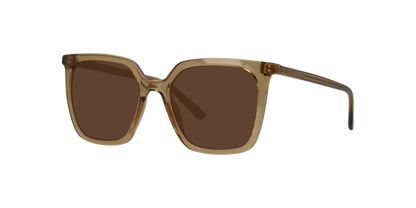 Gafas De Sol Seen NE6076 Café/Café