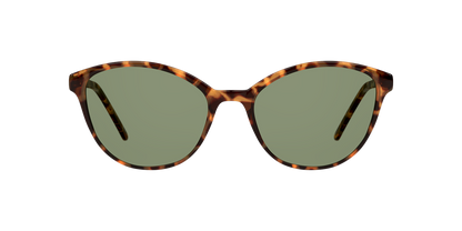 Gafas De Sol Seen NE6004 Verde/Havana
