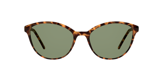 Gafas De Sol Seen NE6004 Verde/Havana