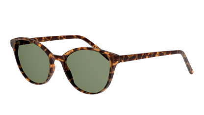 Gafas De Sol Seen NE6004 Verde/Havana