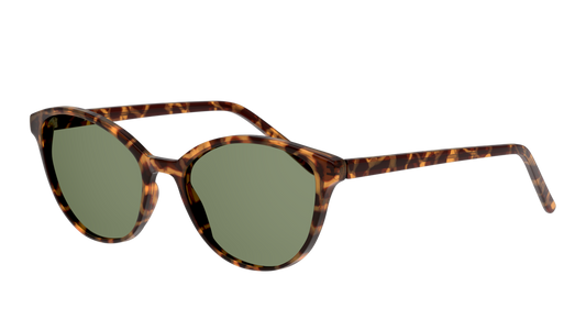 Gafas De Sol Seen NE6004 Verde/Havana