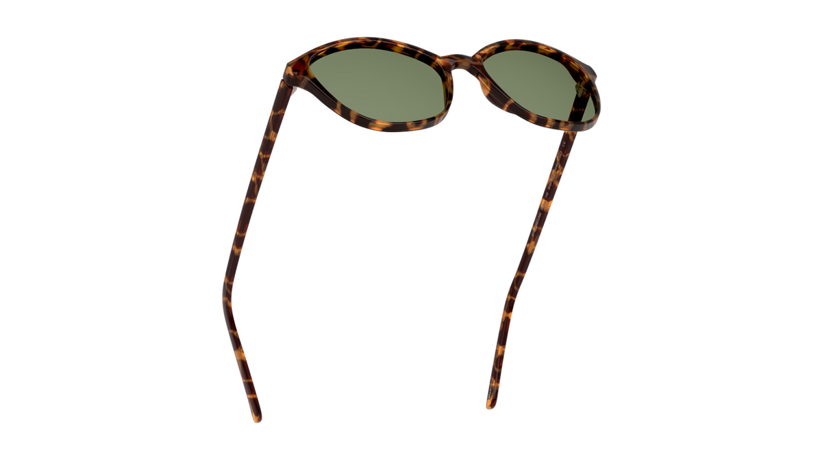 Gafas De Sol Seen NE6004 Verde/Havana