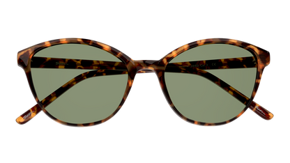 Gafas De Sol Seen NE6004 Verde/Havana