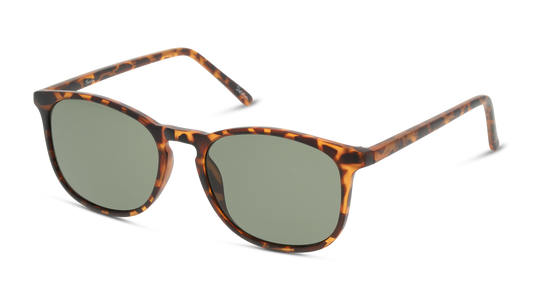 Gafas De Sol Seen NE6007 Verde/Havana