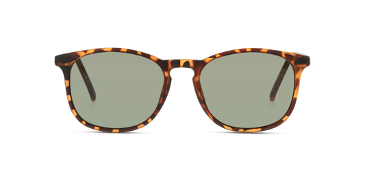 Gafas De Sol Seen NE6007 Verde/Havana